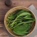 썸네일(스크롤)